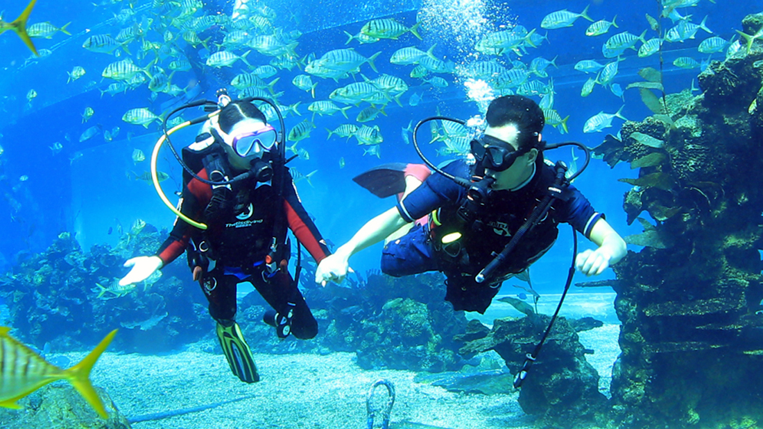 潛水運動的由來