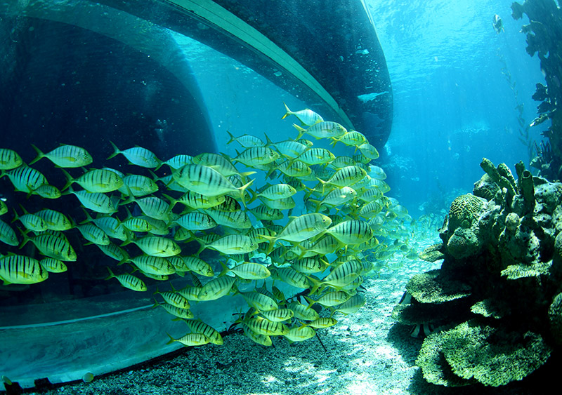 水中你必須注意的十個細(xì)節(jié)