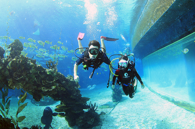 潛水真的能長高嗎？