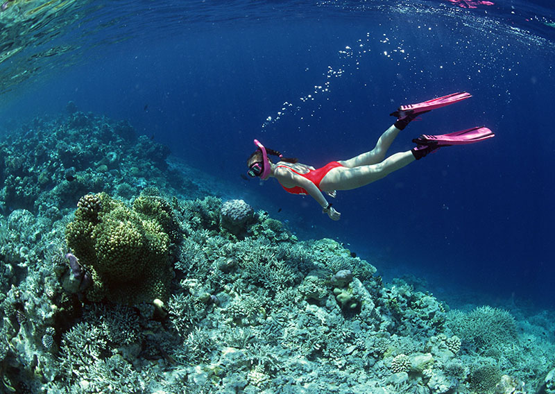 自由潛的七種類型