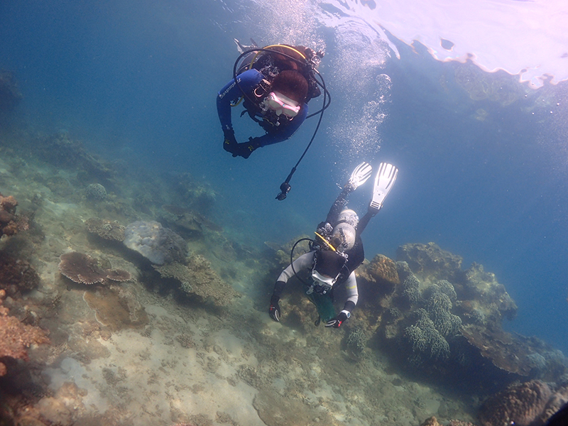新晉潛水員常犯的錯誤