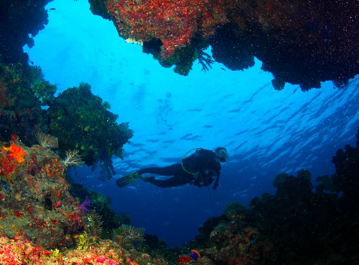 與潛水相關(guān)的英文