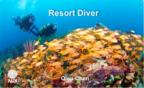 12/12正式上線！PADI 最新課程【休閑潛水員Resort Diver】 丨 一天拿證，潛遍全球