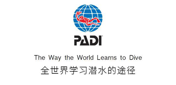 12/12正式上線！PADI 最新課程【休閑潛水員Resort Diver】 丨 一天拿證，潛遍全球