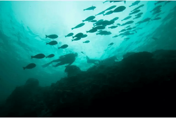 成為潛水員之前的你，是不是也問過這些問題？