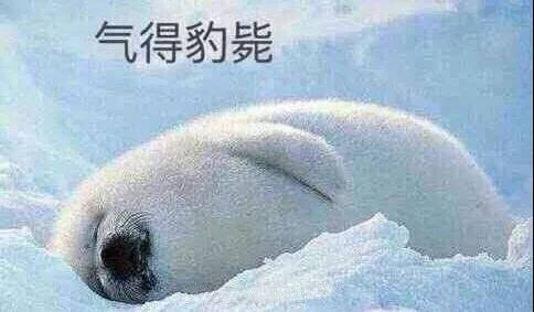 原來你是這樣的潛水員妹子！