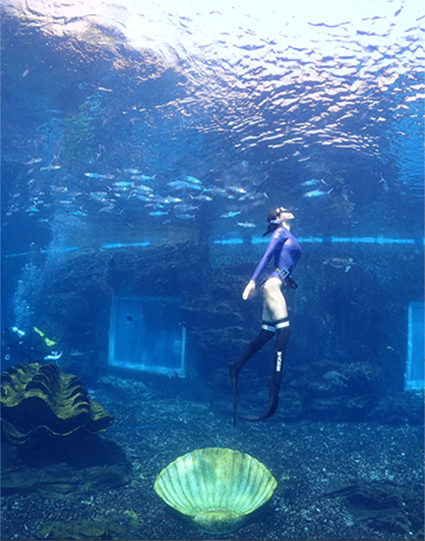 潛水常見(jiàn)問(wèn)題，原來(lái)潛水沒(méi)你想的那么難