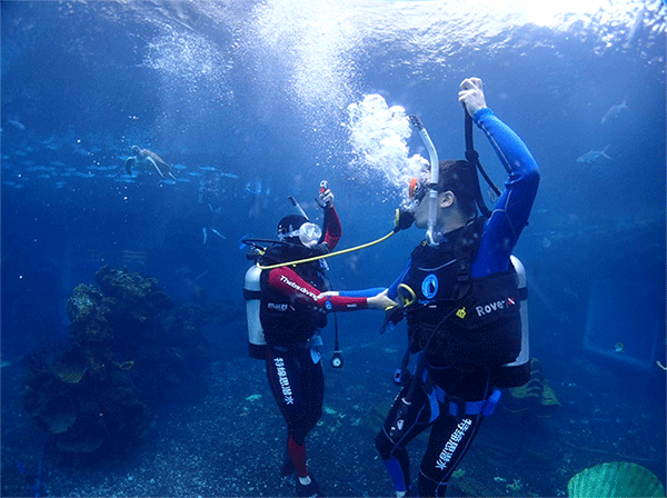 潛水常見(jiàn)問(wèn)題，原來(lái)潛水沒(méi)你想的那么難